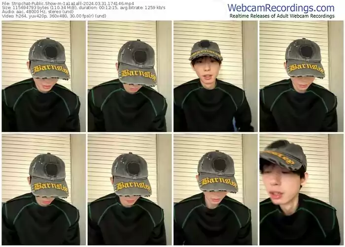 2024/03/31/stripchat-1a1a1alll-17-41-46