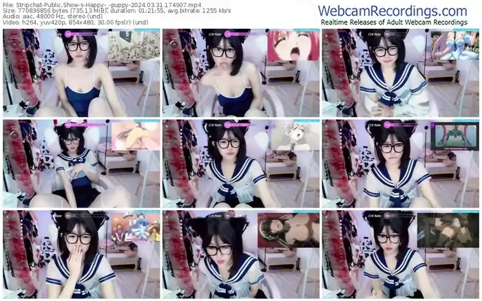 2024/03/31/stripchat-happy-_-puppy-17-49-07