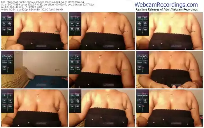 2024/04/01/stripchat-chechi-pennu-09-28-03