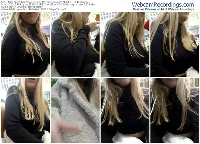 2024/04/01/stripchat-two_hot_cats_love-11-46-50