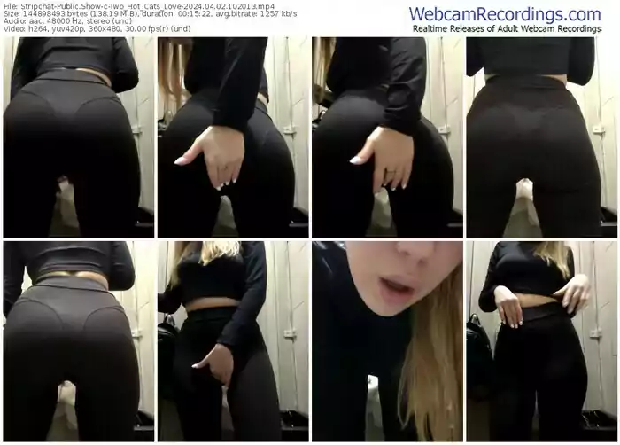 2024/04/02/stripchat-two_hot_cats_love-10-20-13
