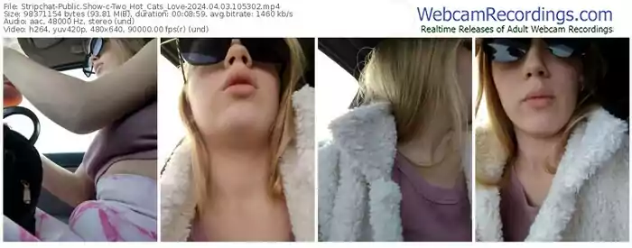 2024/04/03/stripchat-two_hot_cats_love-10-53-02