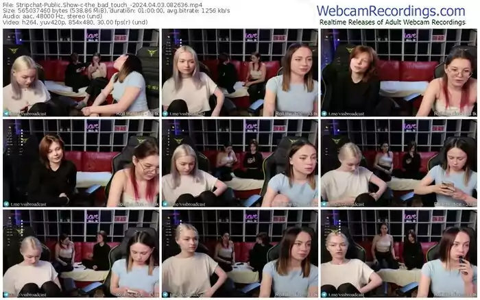 2024/04/03/stripchat-the_bad_touch_-08-26-36