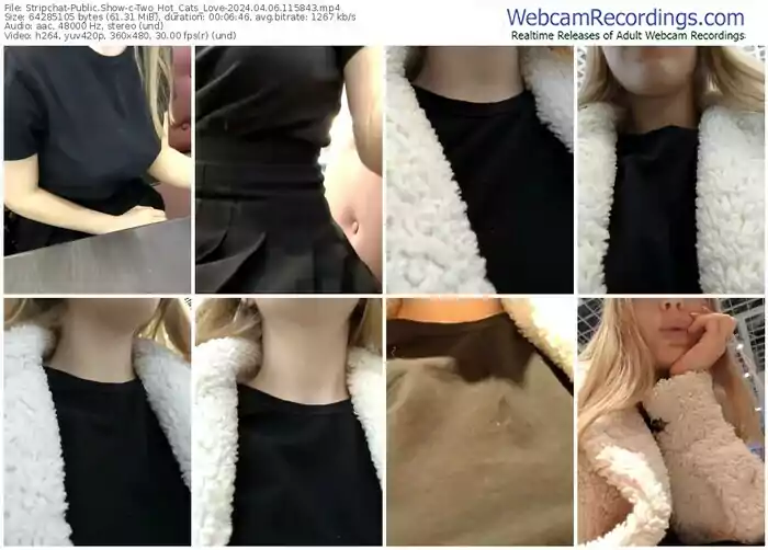 2024/04/06/stripchat-two_hot_cats_love-11-58-43