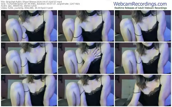 2024/04/07/stripchat-biene-02-47-37