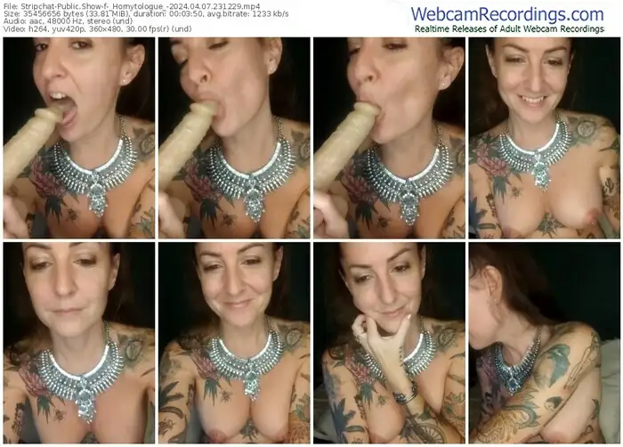 2024/04/07/stripchat-_hornytologue_-23-12-29