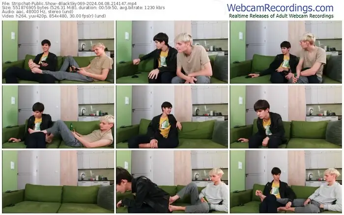 2024/04/08/stripchat--blacksky069-21-41-47