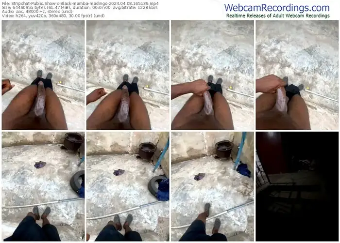 2024/04/08/stripchat-black-mamba-madingo-16-51-39