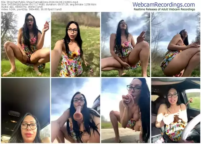 2024/04/08/stripchat-annablisss-19-28-01