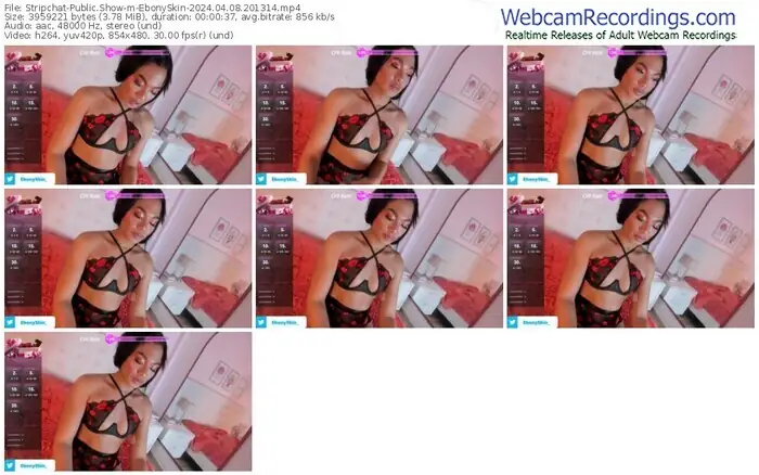 2024/04/08/stripchat-ebonyskin-20-13-14
