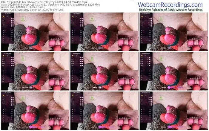2024/04/08/stripchat-controlmytoys-09-44-39