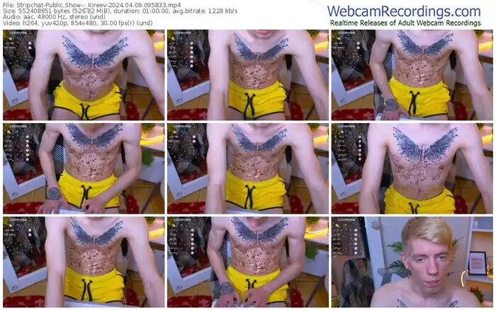 2024/04/09/stripchat--_kireev-09-58-33