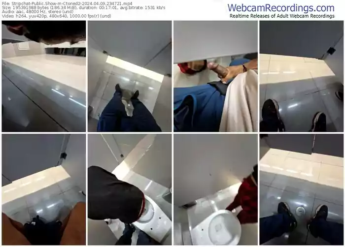 2024/04/09/stripchat-ctoned2-23-47-21