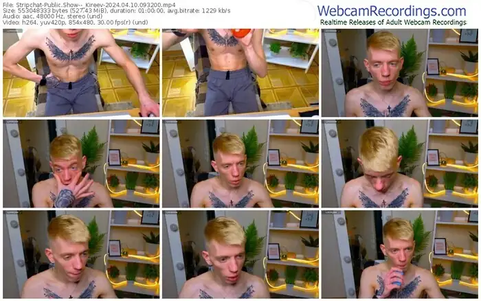 2024/04/10/stripchat--_kireev-09-32-00