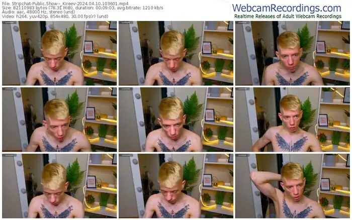 2024/04/10/stripchat--_kireev-10-36-01