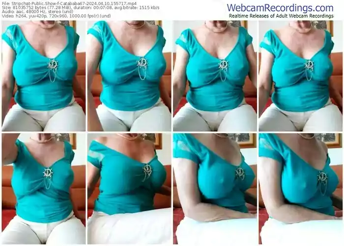 2024/04/10/stripchat-catababa67-15-57-17