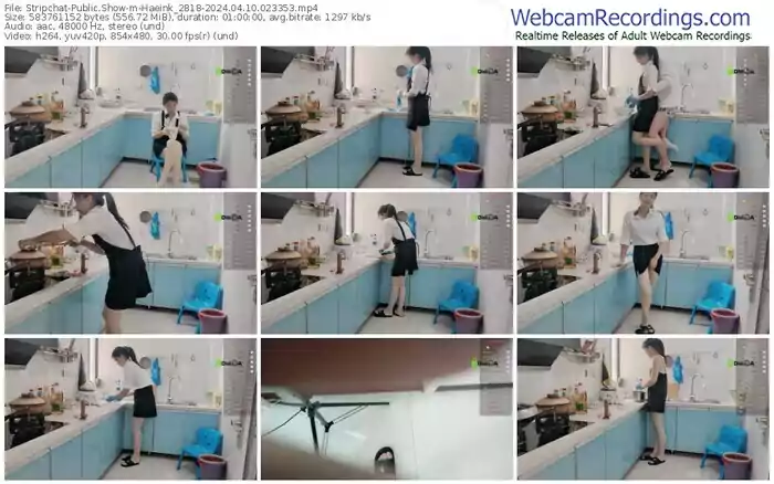 2024/04/10/stripchat-haeink_2818-02-33-53