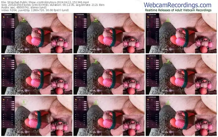 2024/04/11/stripchat--controlmytoys-15-13-46