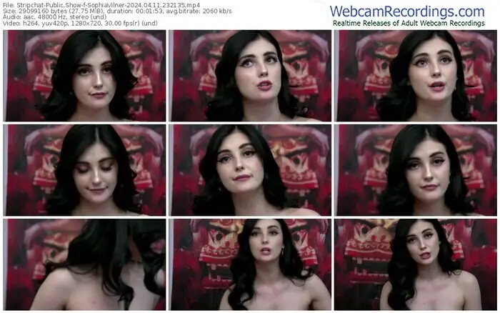 2024/04/11/stripchat-sophiavilner-23-21-35