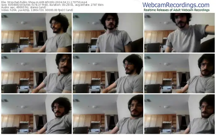 2024/04/11/stripchat-h0t-wh33lz-17-07-50