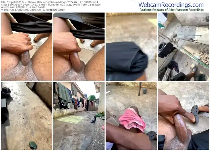 2024/04/12/stripchat-black-mamba-madingo-16-02-09