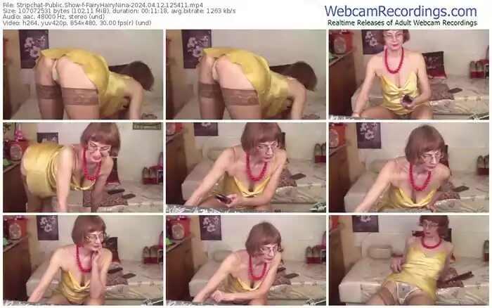 2024/04/12/stripchat-fairyhairynina-12-54-11