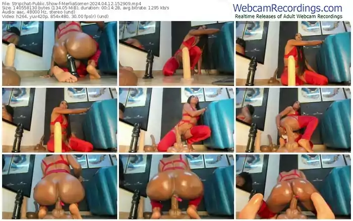 2024/04/12/stripchat-merliasomer-15-29-09