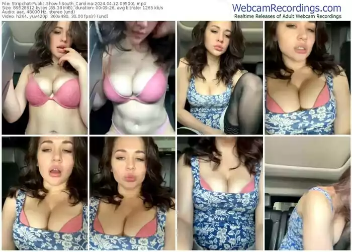 2024/04/12/stripchat-south_carolina-09-50-01