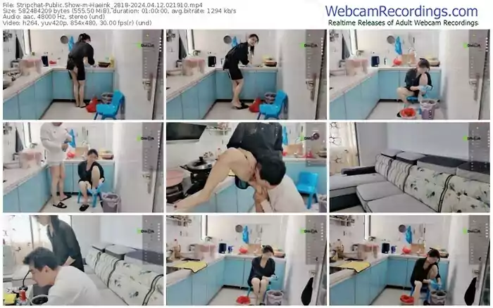 2024/04/12/stripchat-haeink_2818-02-19-10