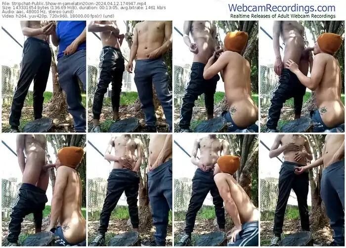 2024/04/12/stripchat-jamelatin20cm-17-49-47