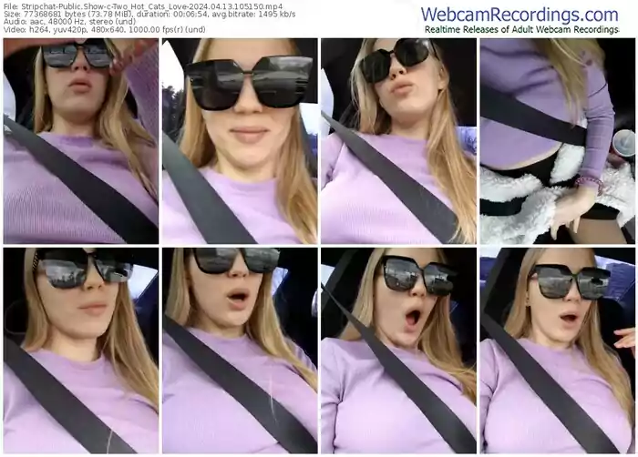 2024/04/13/stripchat-two_hot_cats_love-10-51-50