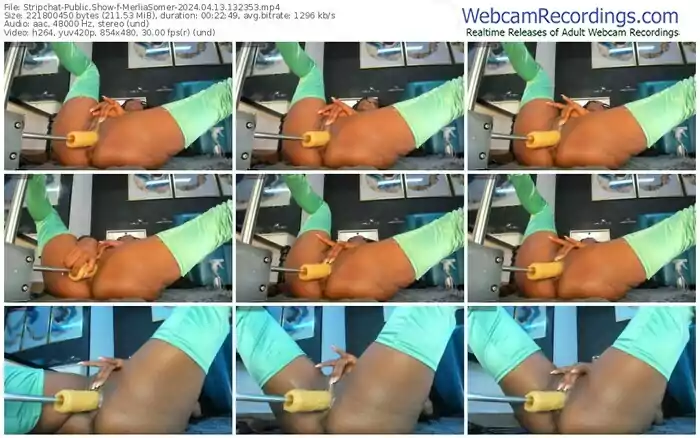 2024/04/13/stripchat-merliasomer-13-23-53