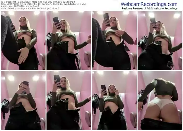 2024/04/13/stripchat-morphine_666-10-26-40