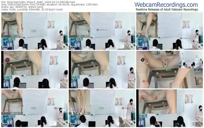 2024/04/13/stripchat-_math_-09-53-38