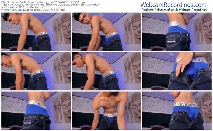 2024/04/13/stripchat-haarry_boy-10-13-35