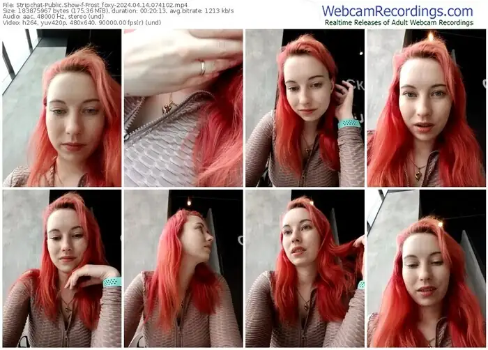 2024/04/14/stripchat-frost_foxy-07-41-02