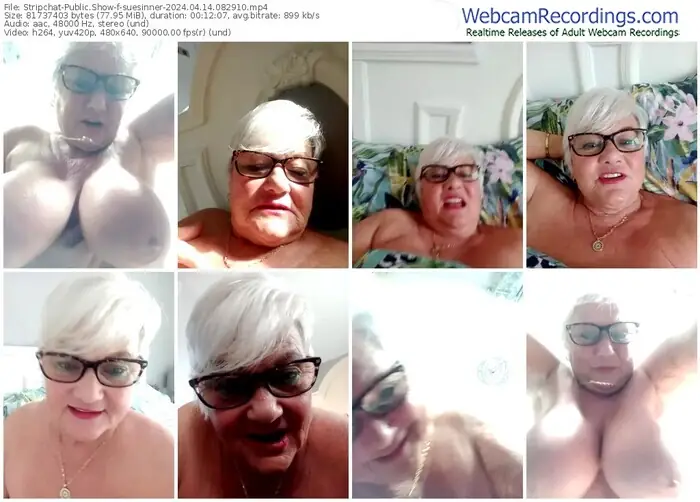 2024/04/14/stripchat-suesinner-08-29-10