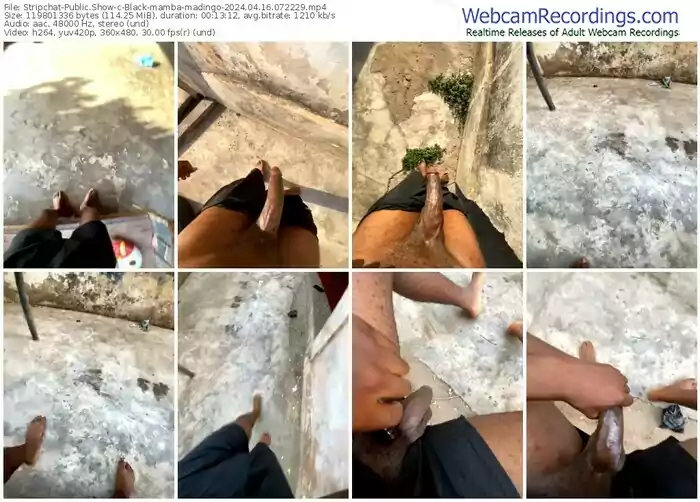 2024/04/16/stripchat-black-mamba-madingo-07-22-29