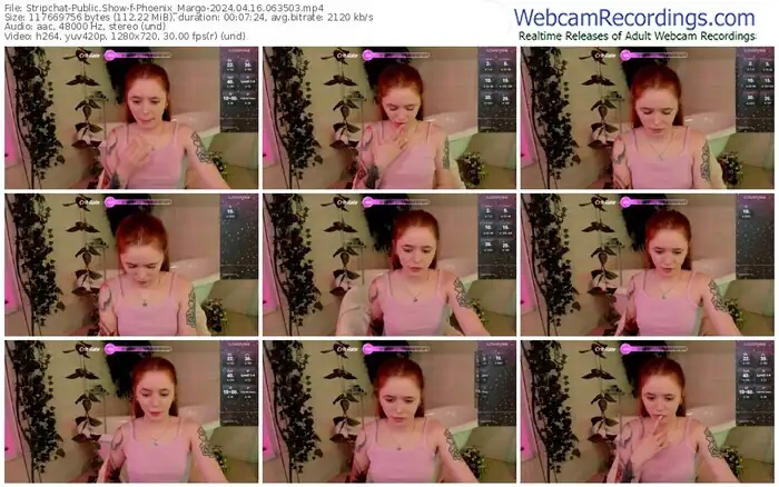 2024/04/16/stripchat-phoenix_margo-06-35-03