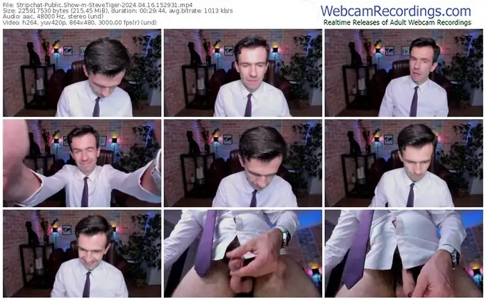 2024/04/16/stripchat-stevetiger-15-29-31