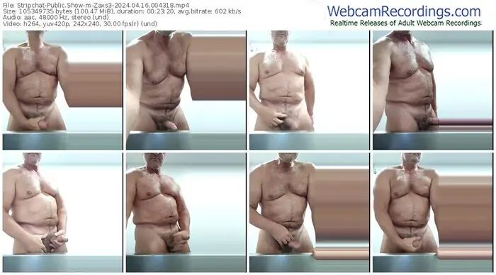 2024/04/16/stripchat-zaxs3-00-43-18