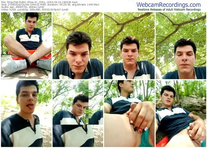 2024/04/16/stripchat-_ottis_-16-06-36