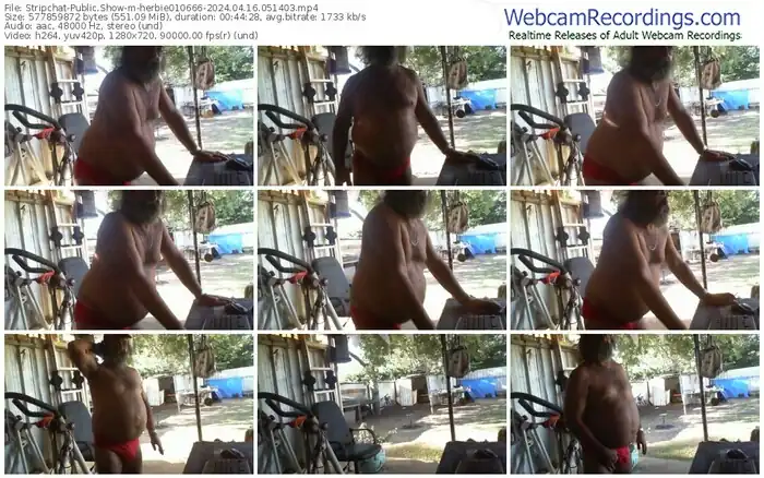 2024/04/16/stripchat-herbie010666-05-14-03