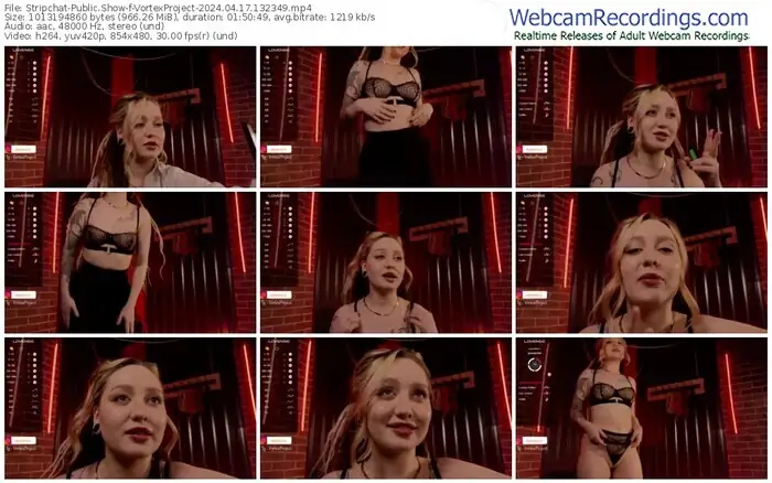 2024/04/17/stripchat-vortexproject-13-23-49