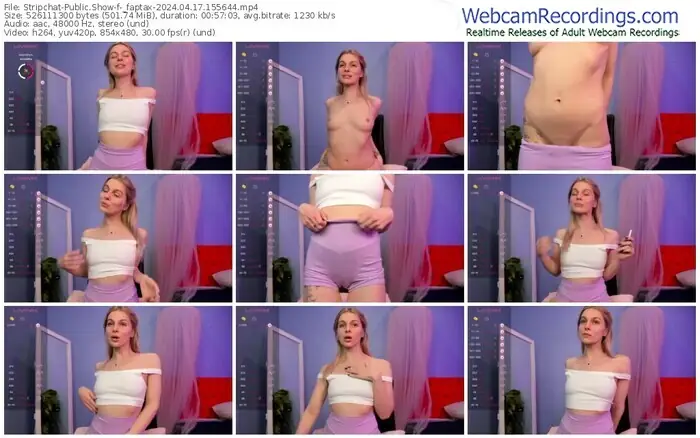 2024/04/17/stripchat-_faptax-15-56-44