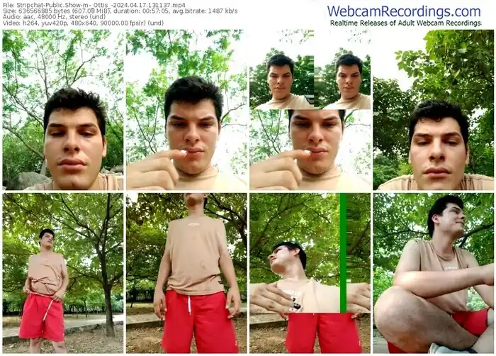 2024/04/17/stripchat-_ottis_-13-11-37