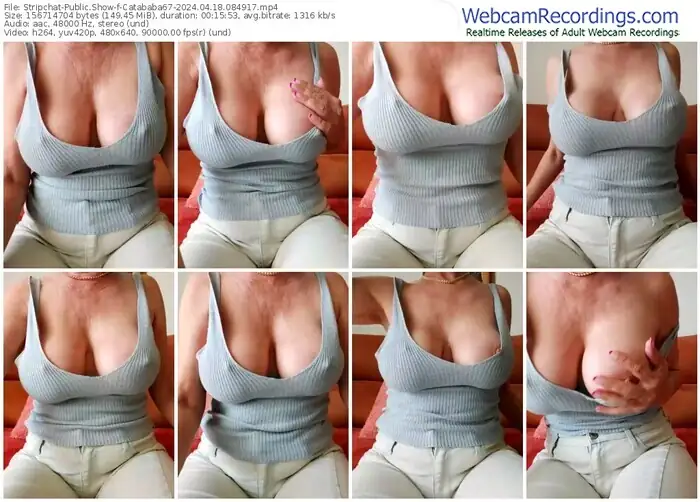 2024/04/18/stripchat-catababa67-08-49-17