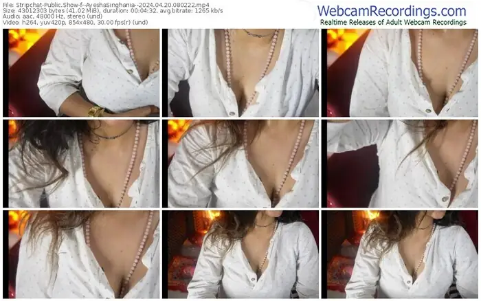 2024/04/20/stripchat--ayeshasinghania--08-02-22