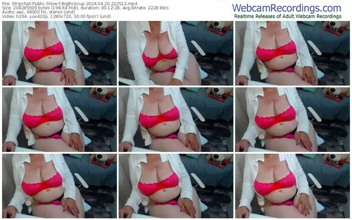 2024/04/20/stripchat-bigbogcup-22-25-12