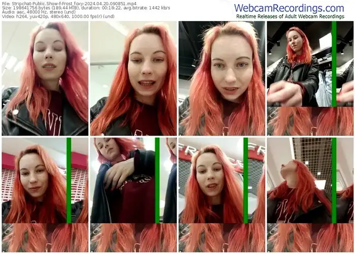 2024/04/20/stripchat-frost_foxy-09-08-51